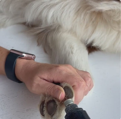 Pworax™ Pet Nail Grinder